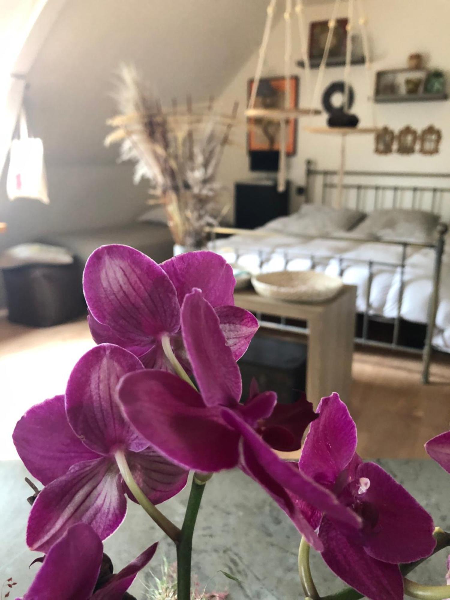 La Thibautiere Bed and Breakfast Blaison Εξωτερικό φωτογραφία
