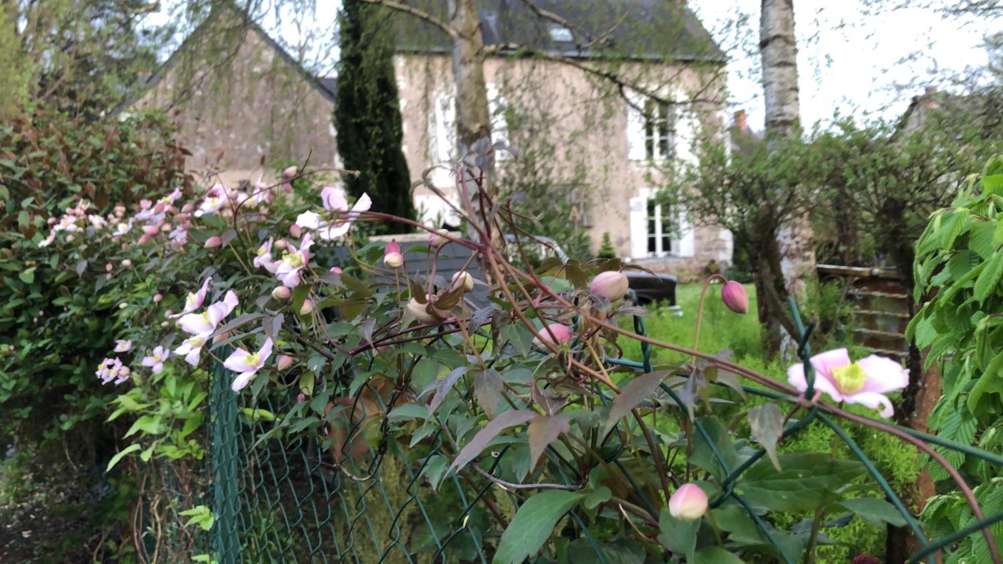 La Thibautiere Bed and Breakfast Blaison Εξωτερικό φωτογραφία