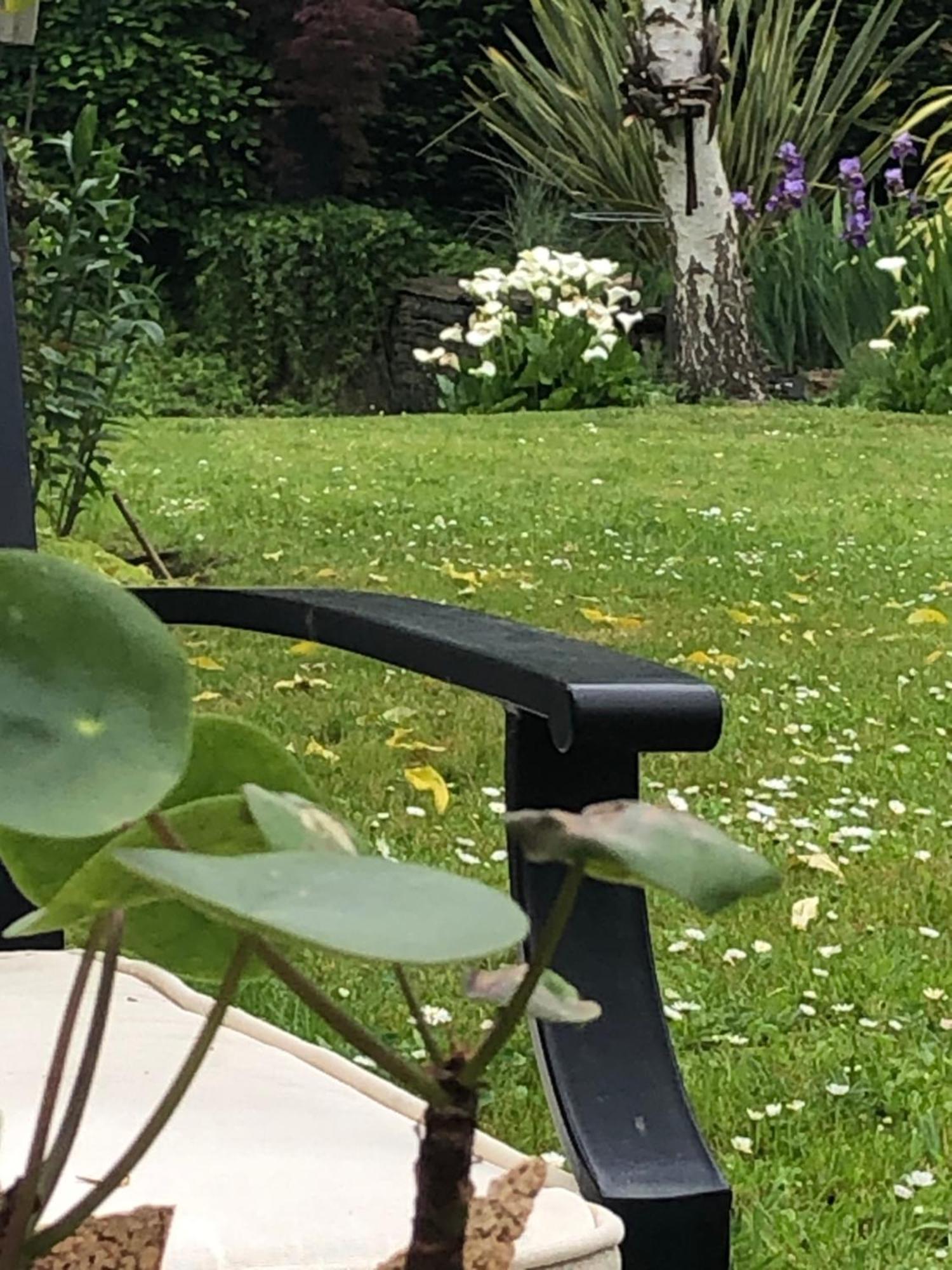 La Thibautiere Bed and Breakfast Blaison Εξωτερικό φωτογραφία
