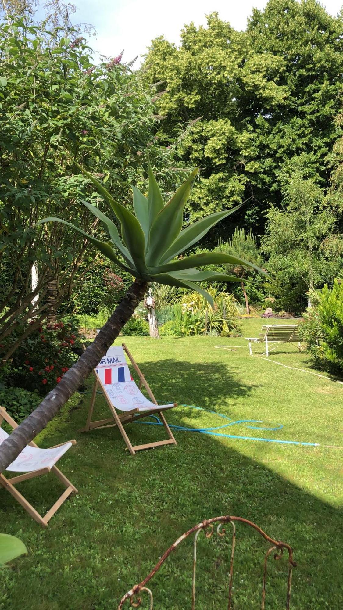 La Thibautiere Bed and Breakfast Blaison Εξωτερικό φωτογραφία